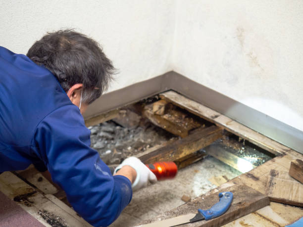 Best Crawl Space Mold Removal  in Crystal Lake, CT