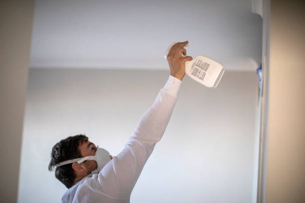 Best Mold Removal Near Me  in Crystal Lake, CT
