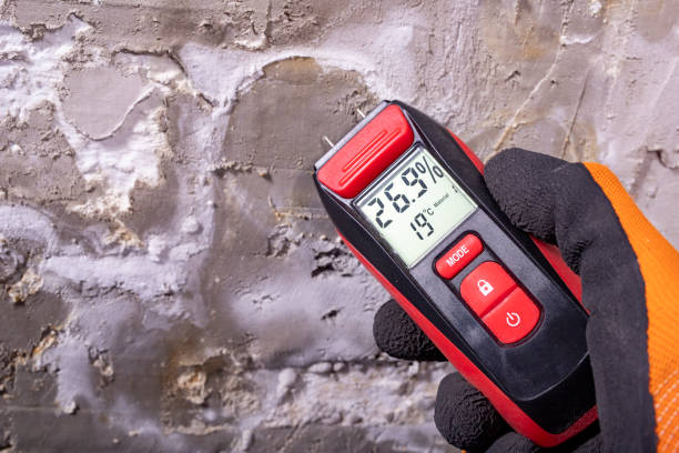 Trusted Crystal Lake, CT Mold Removal Experts